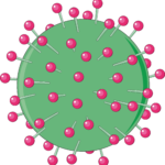 Hepatitis A